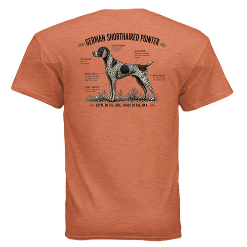 SUNSET - G500 - BACK